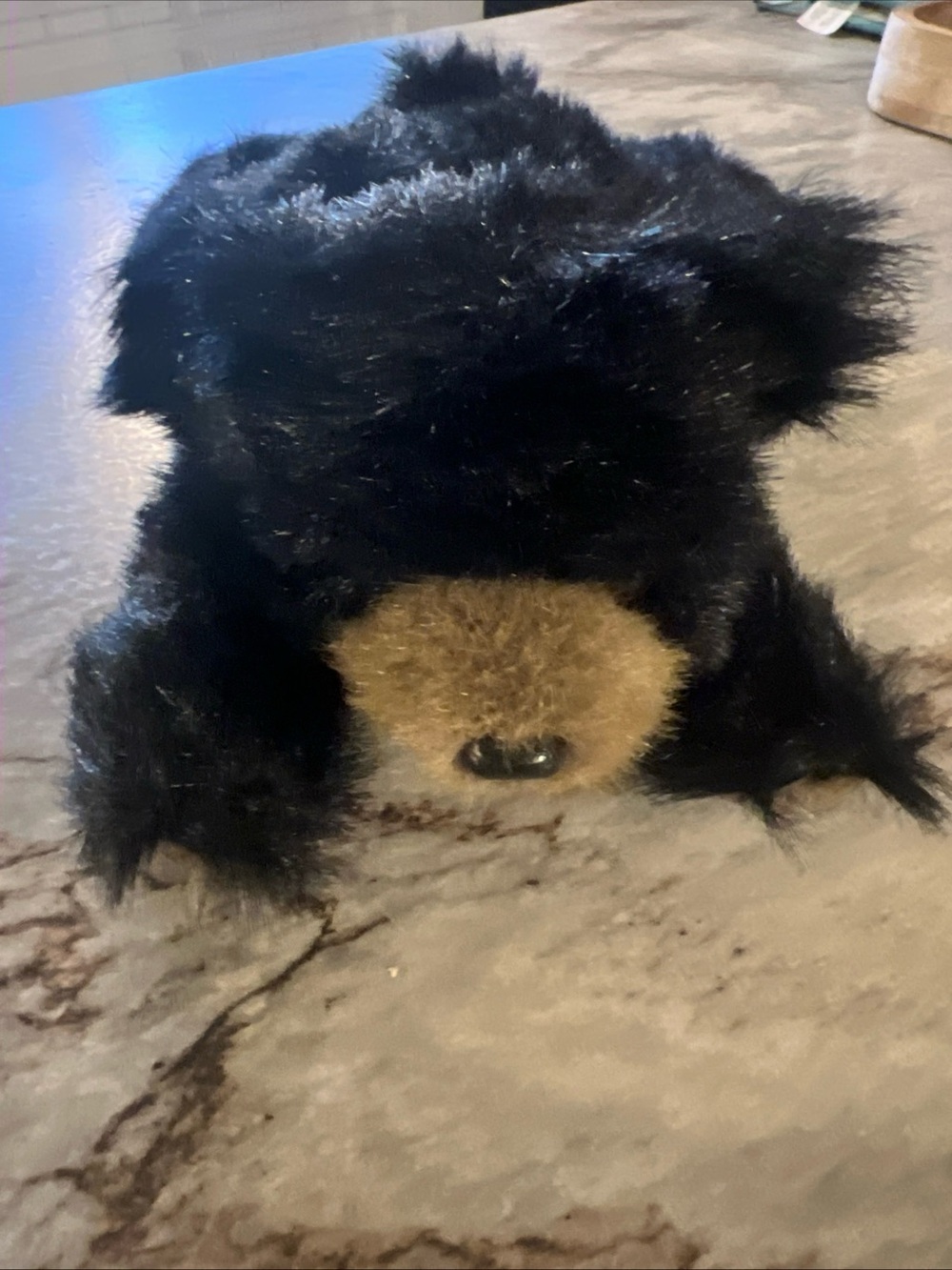 Plush Black and Brown Bear Stuffed Animal - Soft Cuddly Toy